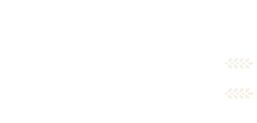 Elise Cakes